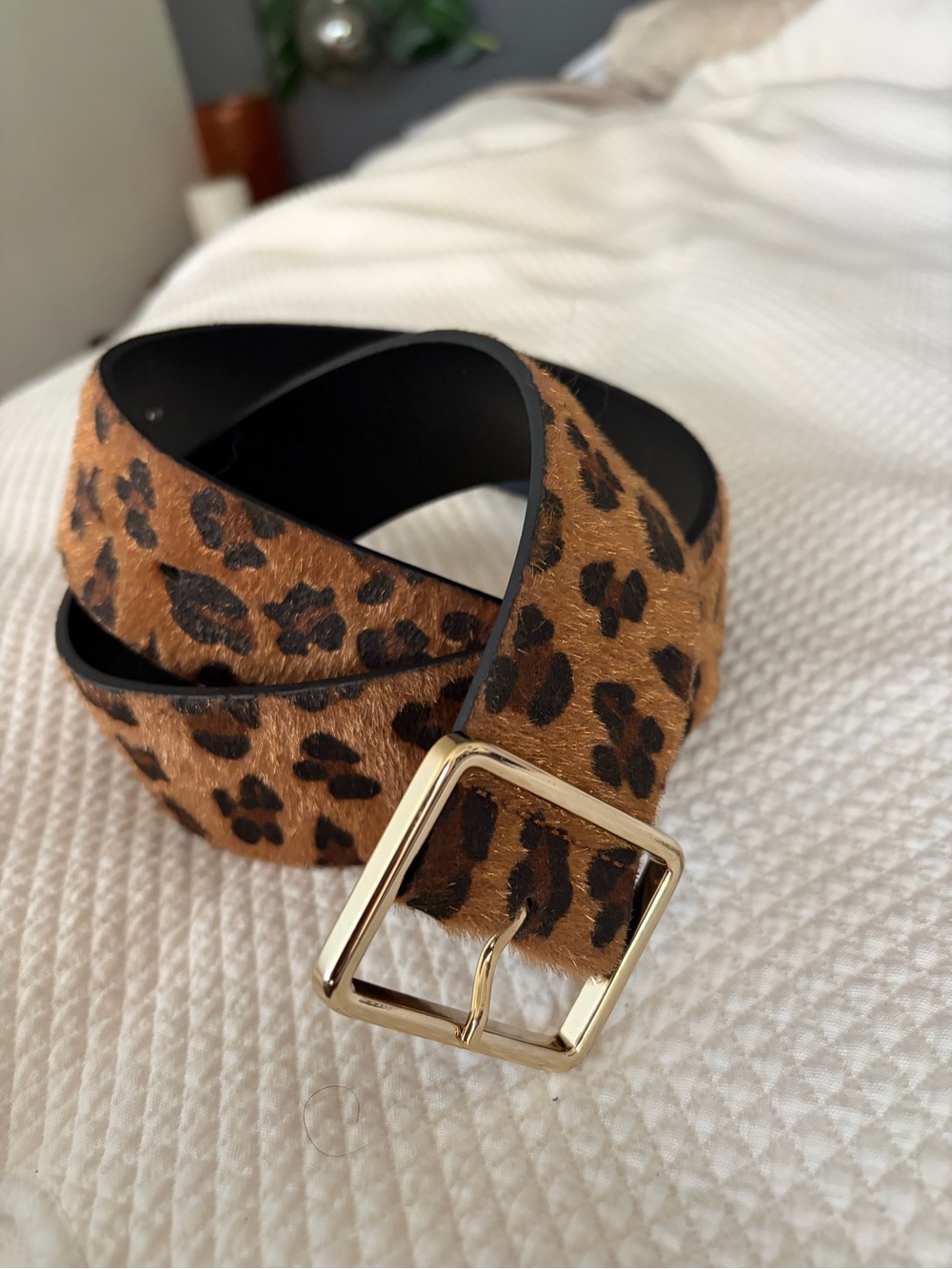 Leopard Print Haircalf Belt with Gold Buckle - Women Accessories